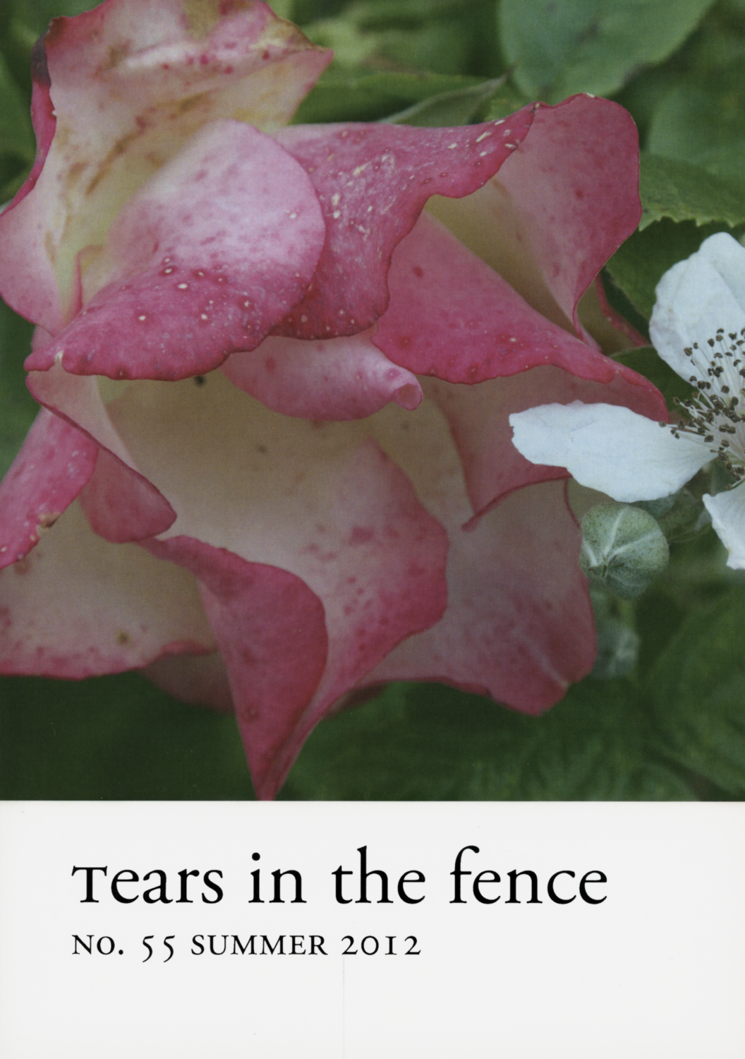 Tears in the fence, No 55 Summer 2012